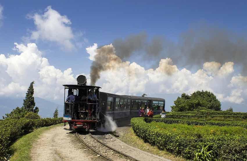 From NJP Railway Station or Bagdogra Airport to Darjeeling, venture towards the finest tea gardens in the nation.