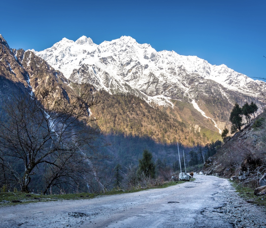 Full Day Sightseeing in Darjeeling | Witness the morning sunlight grace the slopes of Mt. Kanchenjunga.