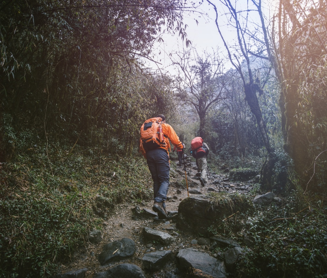 Hike from Yuksum to Sachen Camp at an elevation of 2,750 meters.