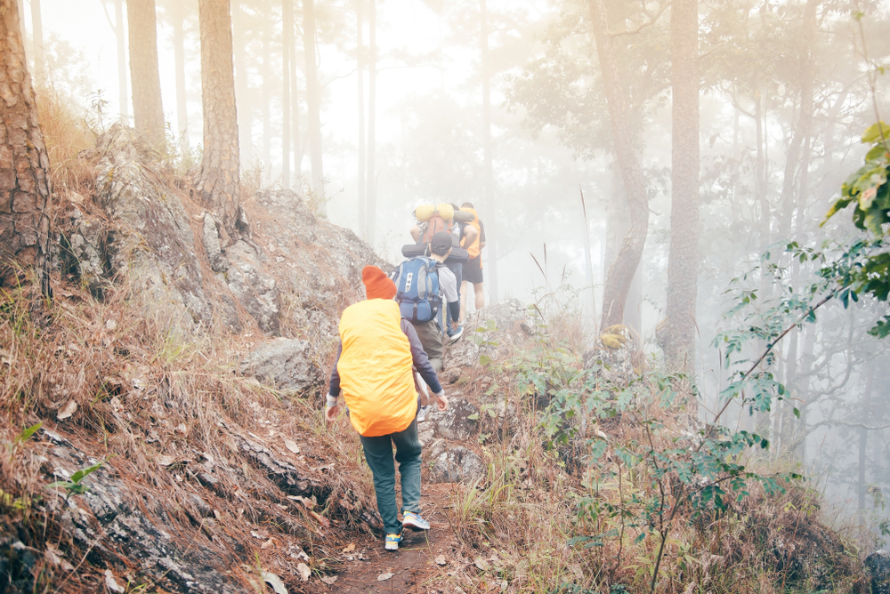 Day 06: Trek from Yabuk to Rest Camp (4,500m)