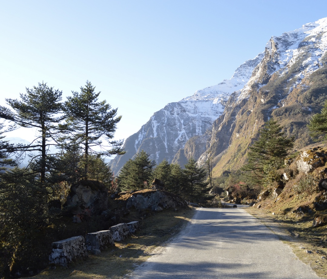 Journey from Gangtok to Pelling via Ravangla/Namchi, crossing from East to West Sikkim.