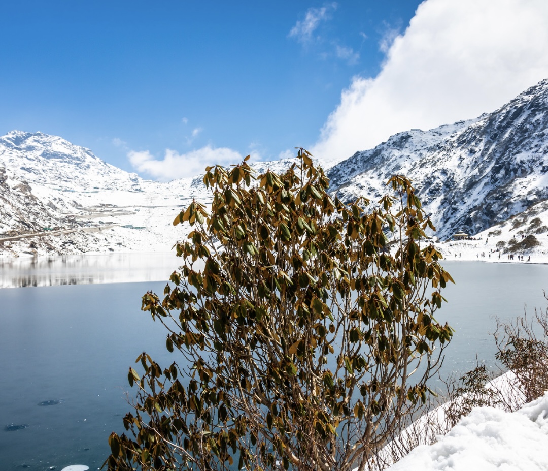 Gangtok Adventure | Explore the Renowned Tsomgo Lake