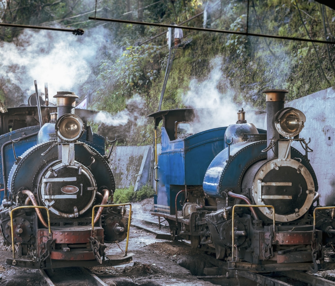 Explore the entire city of Darjeeling with a full-day city tour, available from 4:00 AM to 7:30 AM and 9:00 AM to 1:00 PM.