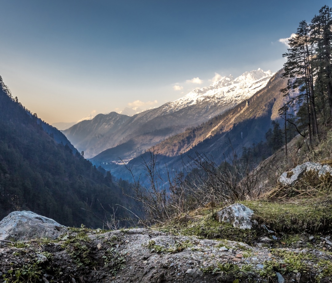The image captures the breathtaking beauty of Yumthang Valley in its full splendor.