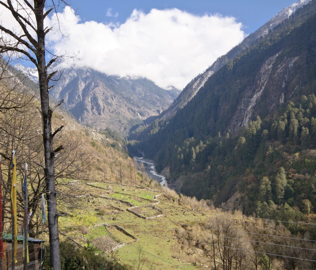 Lachung, Sikkim: Serene village nestled amidst lush hills, colorful rhododendrons, and cascading waterfalls, offering breathtaking Himalayan vistas