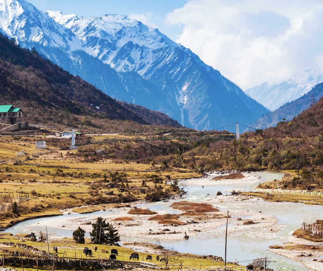 Lachung - Yumthang Valley - Gangtok | Witness the Sikkim's Valley of Flowers