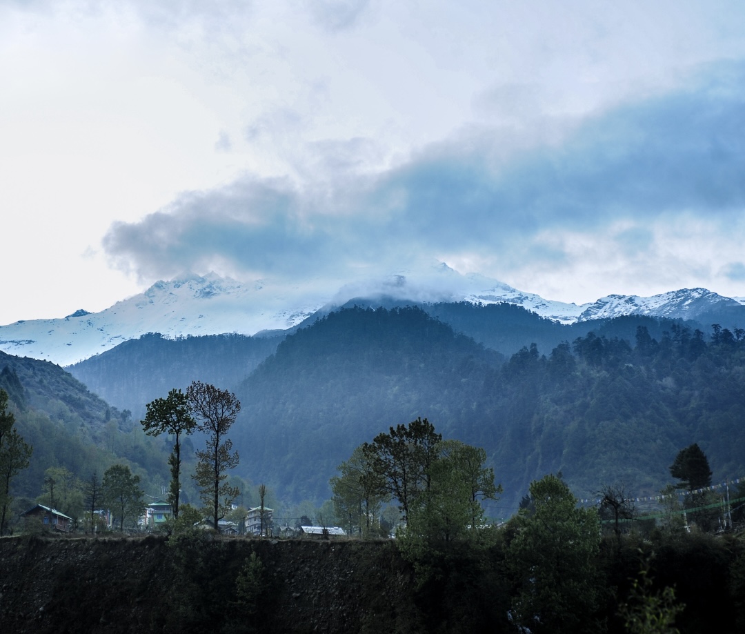 Lachung - Yumthang Valley - Gangtok | Experience Sikkim's Enchanting Valley of Flowers