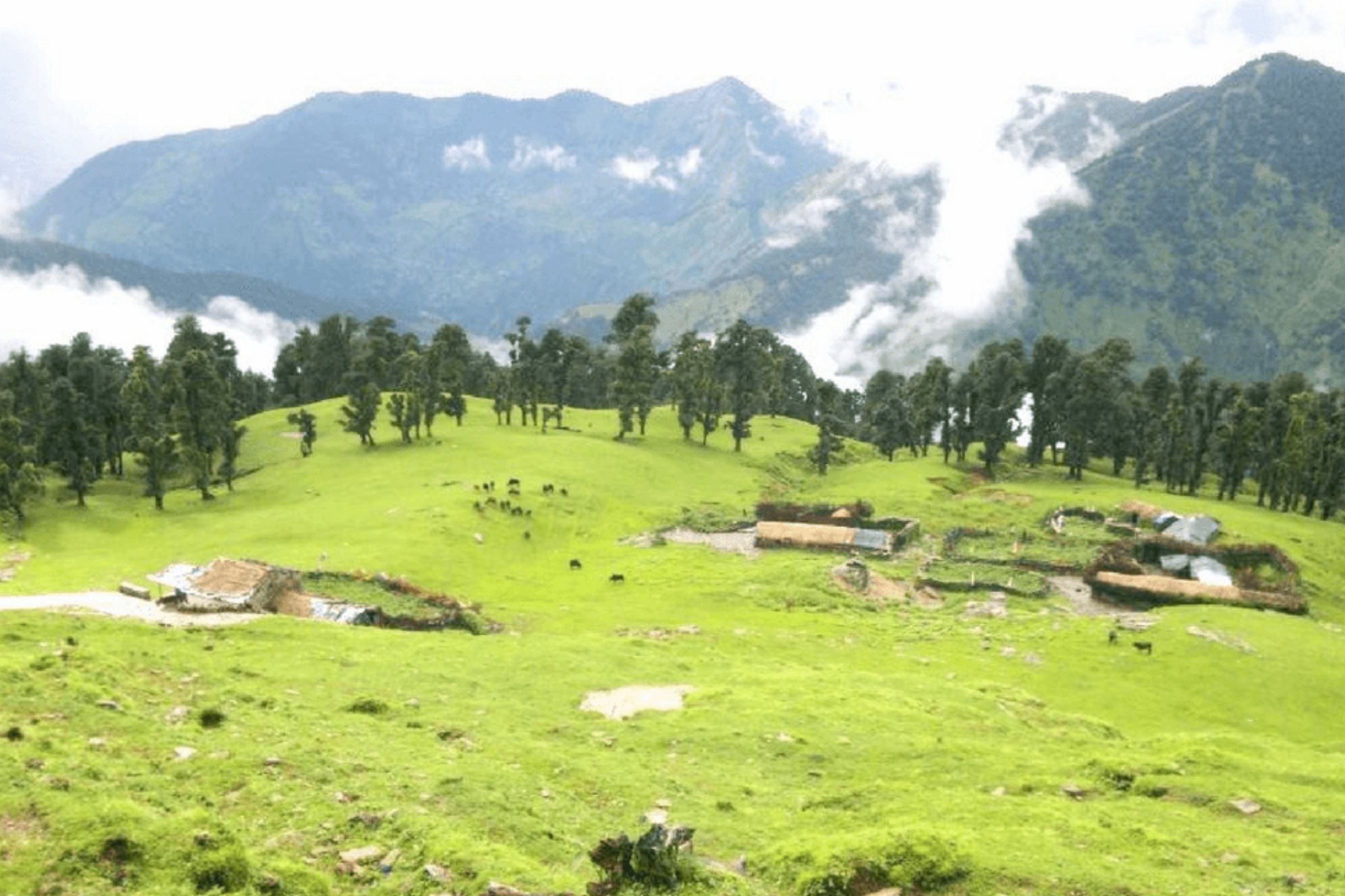 Chopta Valley