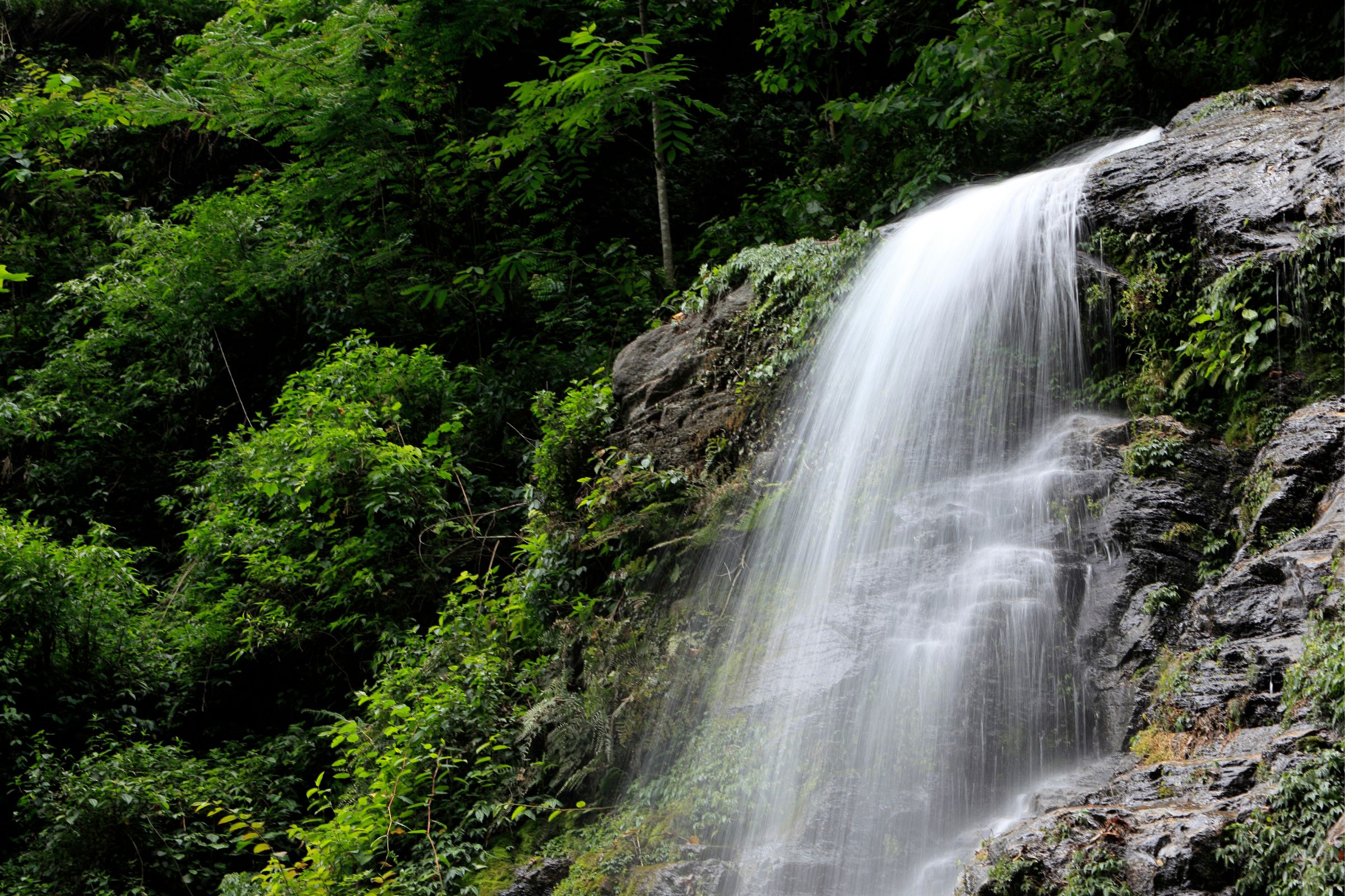 Sikkim Waterfall
