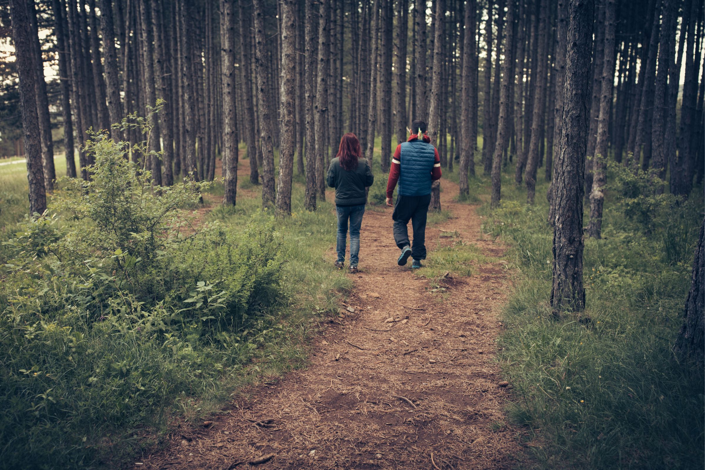 Trekking Trails