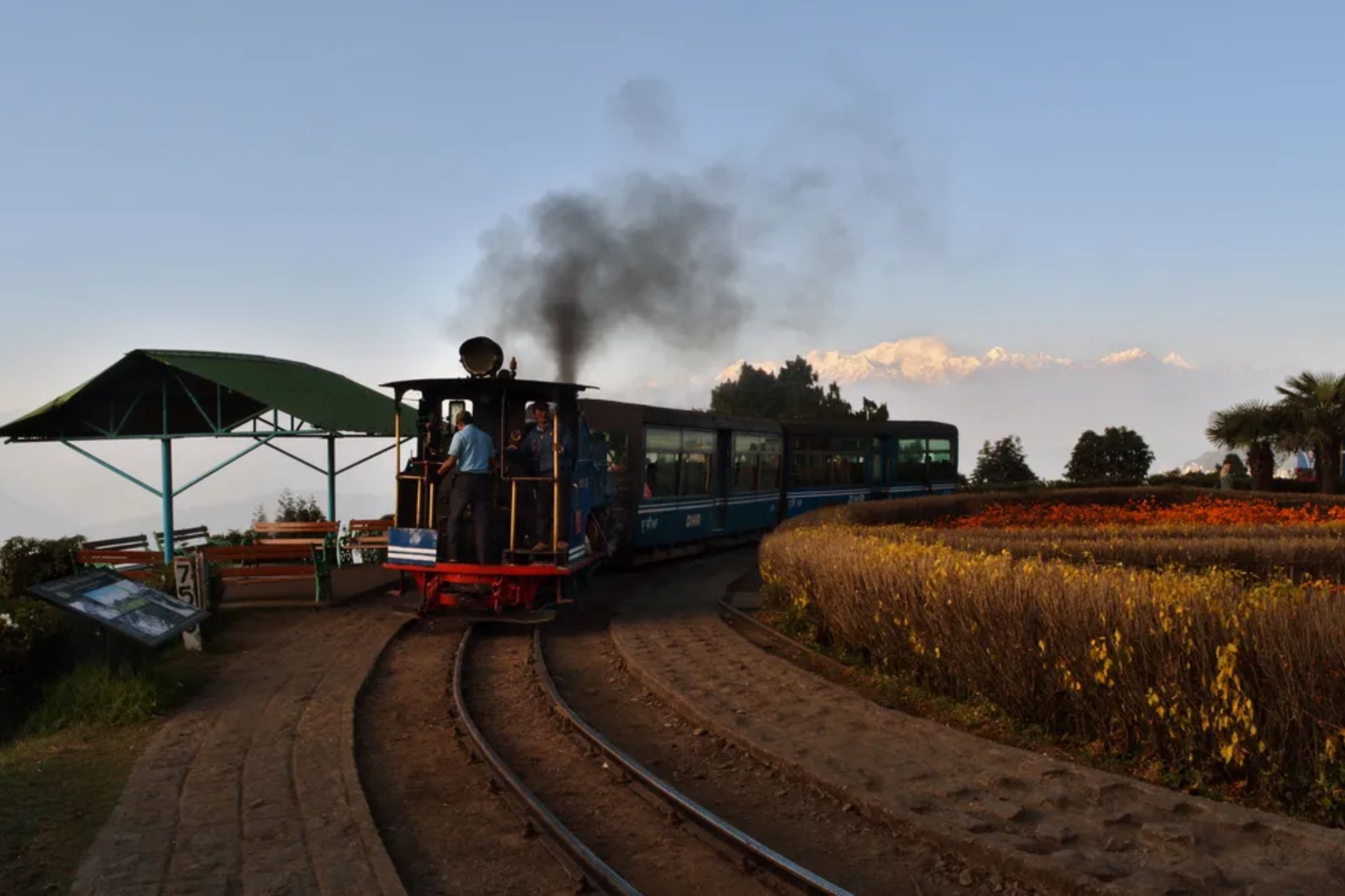 Toy train Darjeeling